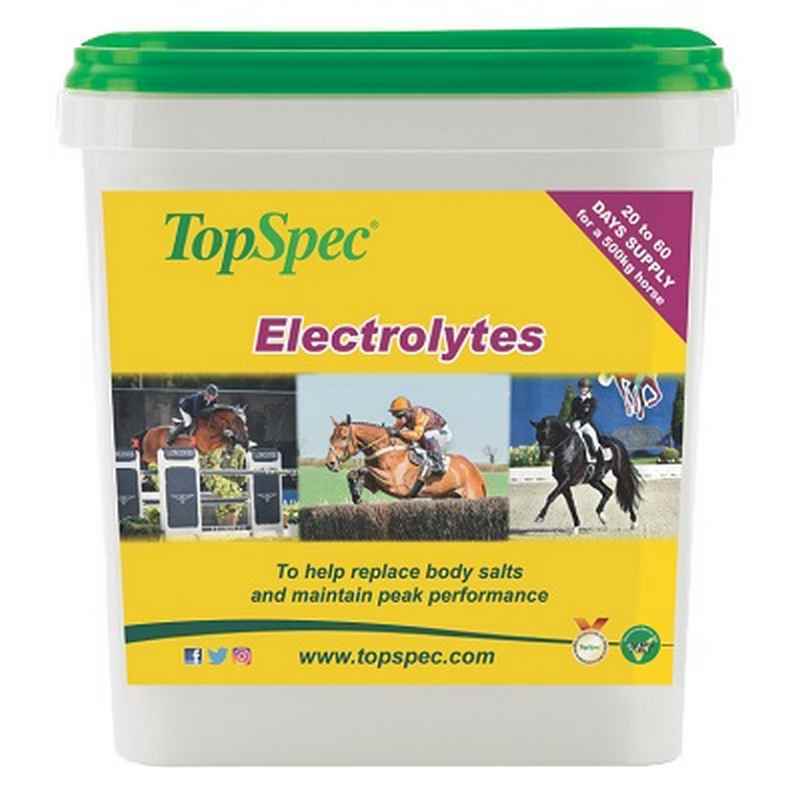 TopSpec Electrolytes 3kg - Horse Electrolyte Supplement Sweat Replacement