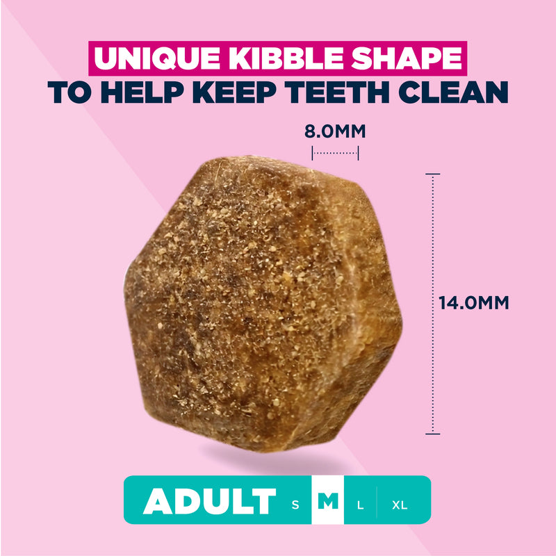 Eukanuba Adult Medium Chicken 12kg - Medium Breed Dog Food Chicken Complete Formula