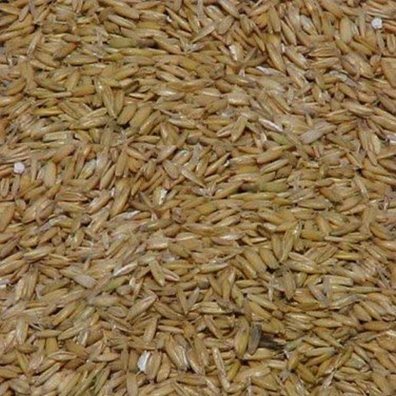 Johnston & Jeff Whole Groats 25kg - Whole Oat Groats Horse & Poultry Feed