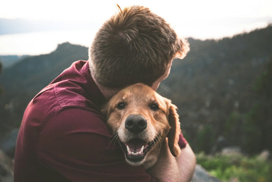 The Beginner’s Guide to Puppy Nutrition