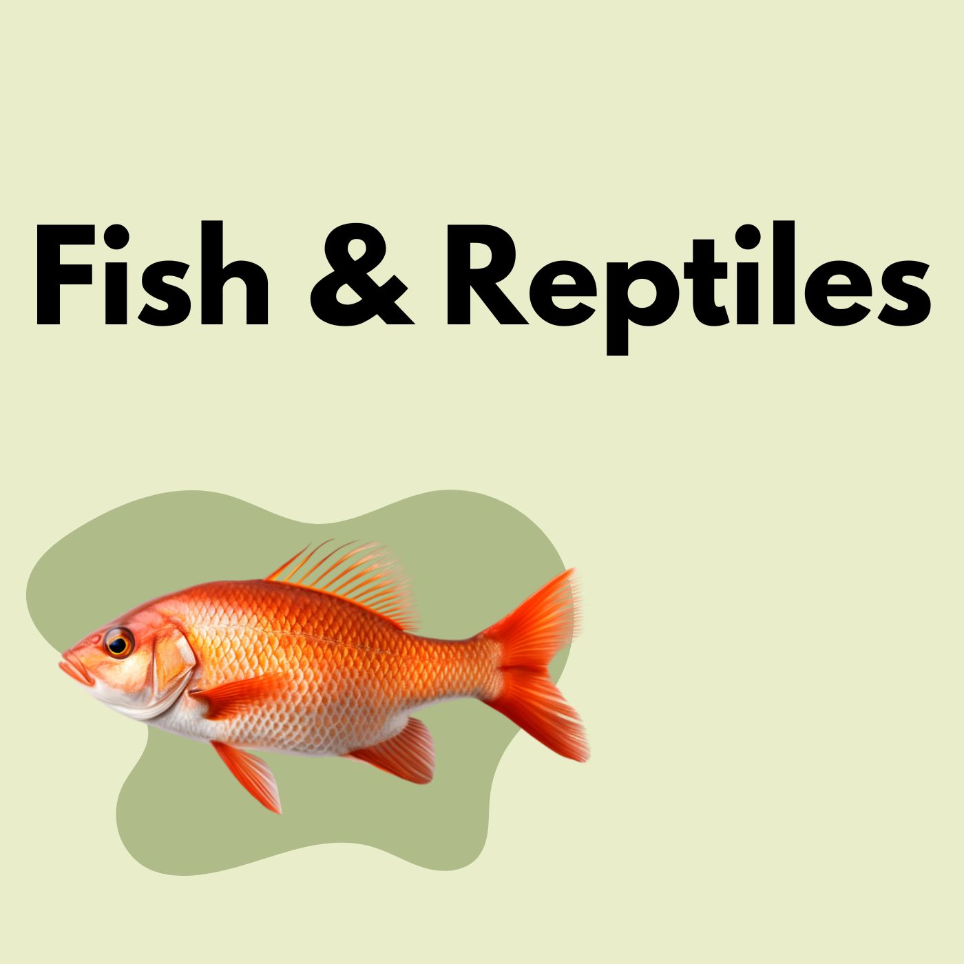 Fish & Reptile