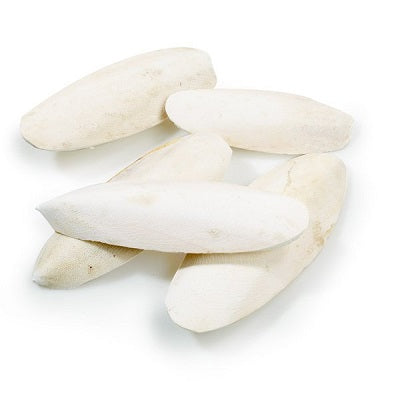 Classic Premium Cuttlebones 5lb 2.27kg