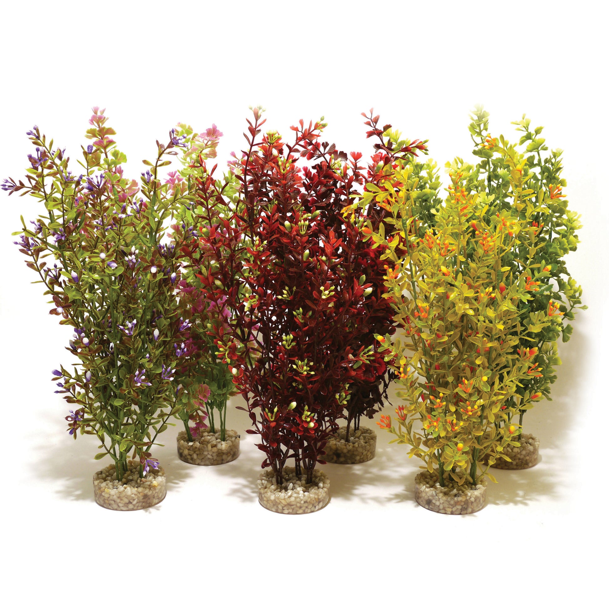 Rosewood Premium Cocktail Plant Maxi x6
