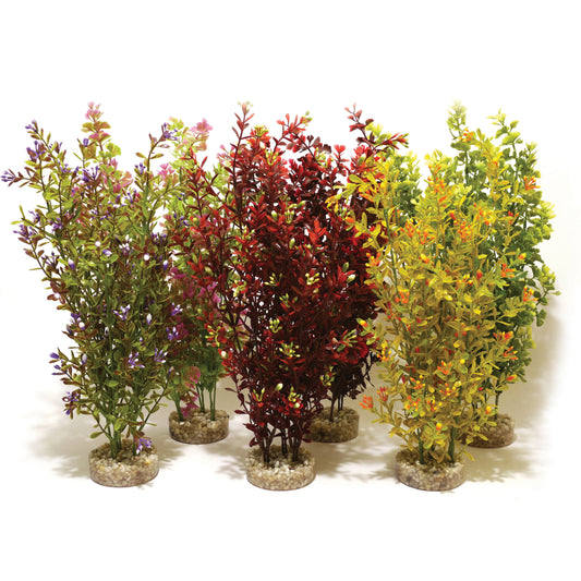 Rosewood Premium Cocktail Plant Maxi x6