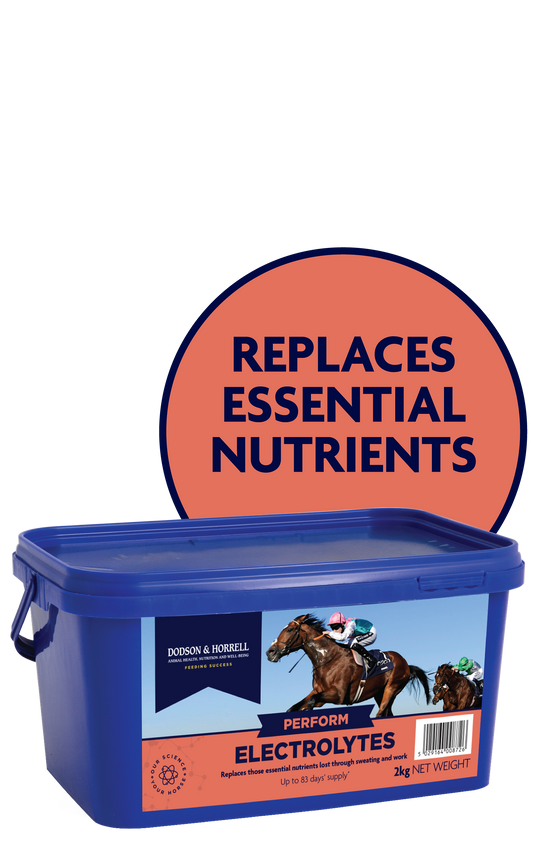 Dodson & Horrell Electrolytes 15 Kilograms