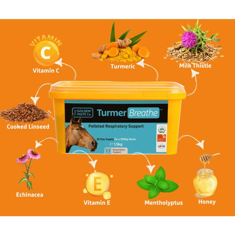 Golden Paste TurmerBreathe 1.5kg Horse Supplement Respiratory Support