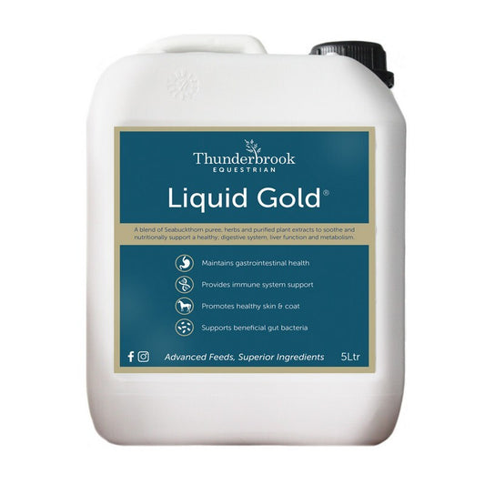 Thunderbrook Liquid Gold 2L - Horse Turmeric Supplement Anti-Inflammatory Joint Support