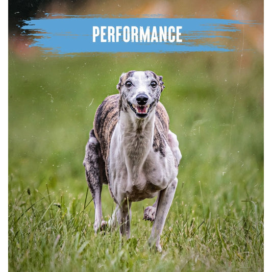 Alpha Adult Performance 15kg - High Performance Working Dog Food Competition Formula