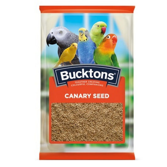 Bucktons Plain Canary Seed 20kg - Pure Canary Seed Bird Food