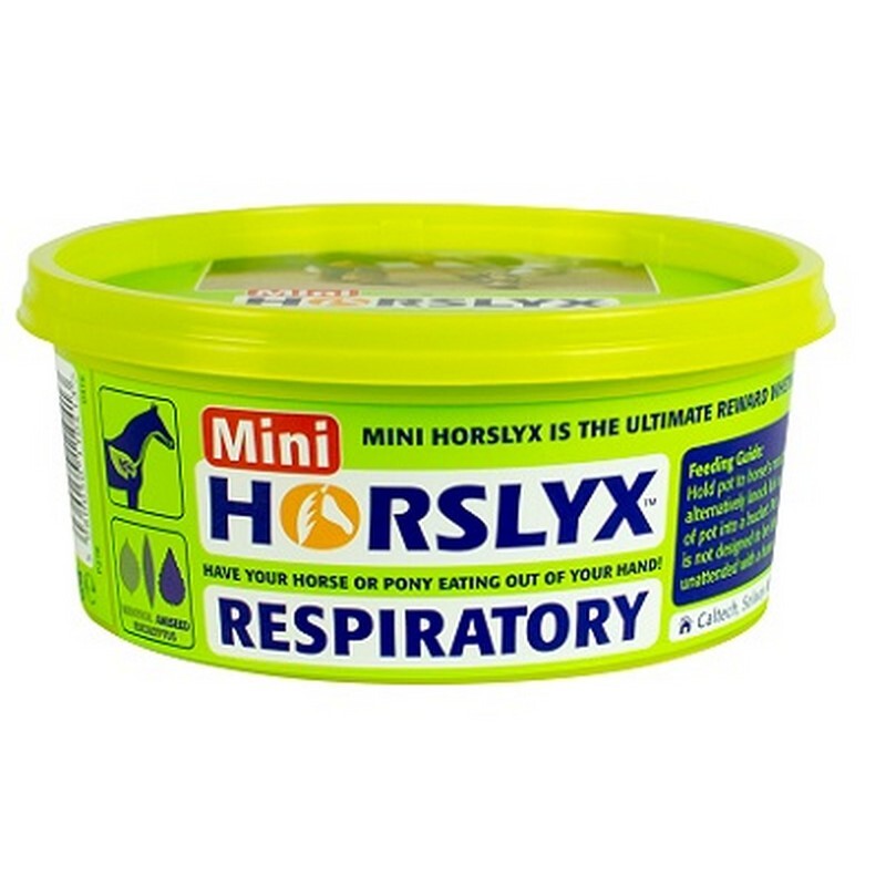 Horslyx Mini Lick Respiratory 650g x12 - Horse Breathing Support Lick Blocks (7.8kg Total)