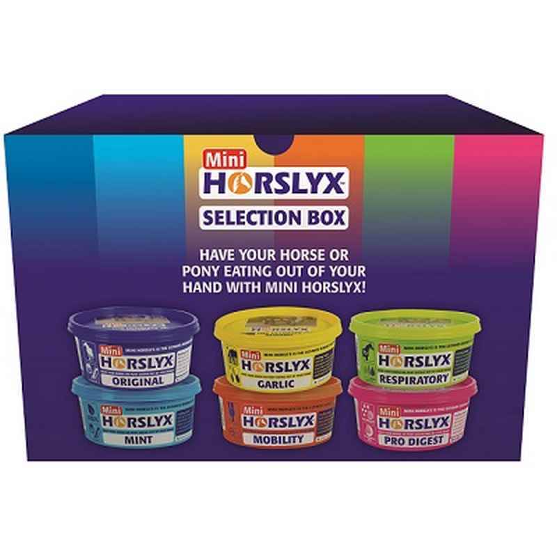 Horslyx Mini Lick Assorted Mix 650g x6 - Horse Lick Blocks Variety Pack (3.9kg Total)
