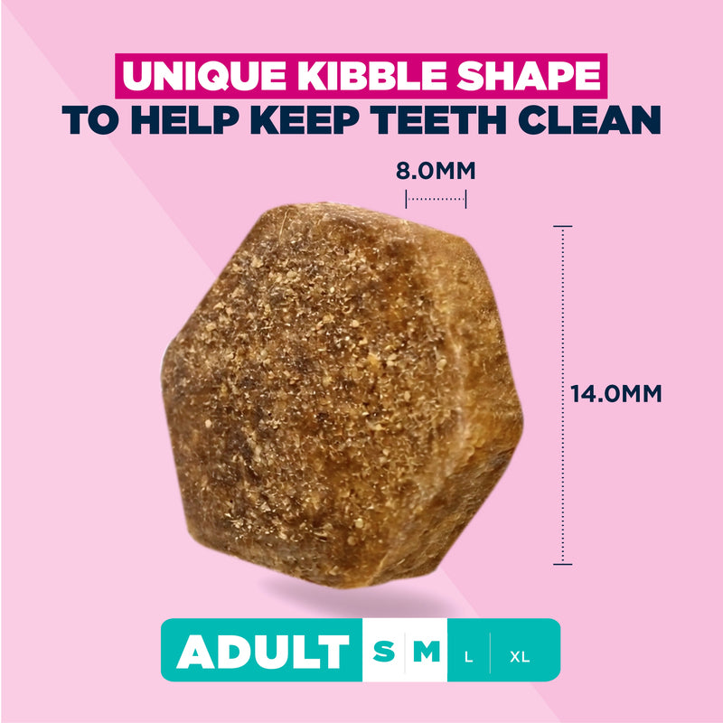 Eukanuba Adult Small Medium Lamb 12kg Dry Complete Dog Food Healthy Digestion