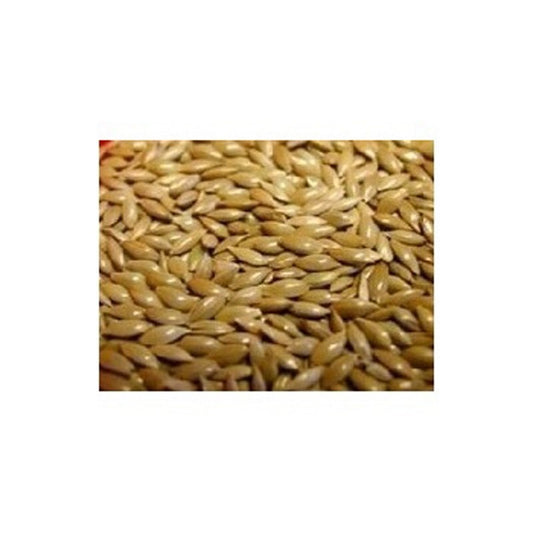 Johnston & Jeff Plain Canary Seed 20kg - Pure Canary Seed Bird Food