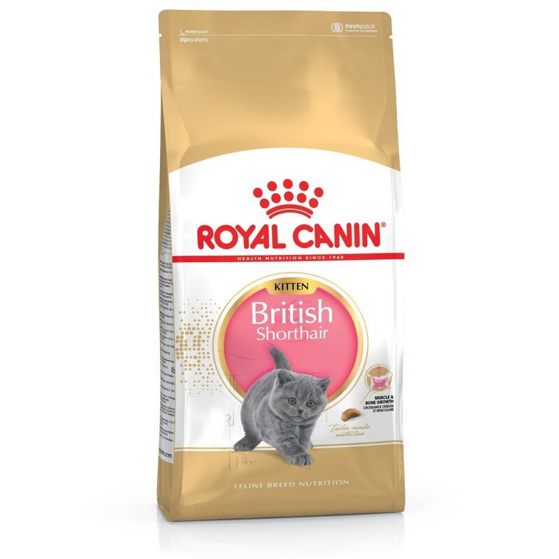 Royal Canin British Shorthair Kitten 2kg - Breed Specific Kitten Food Growth Formula